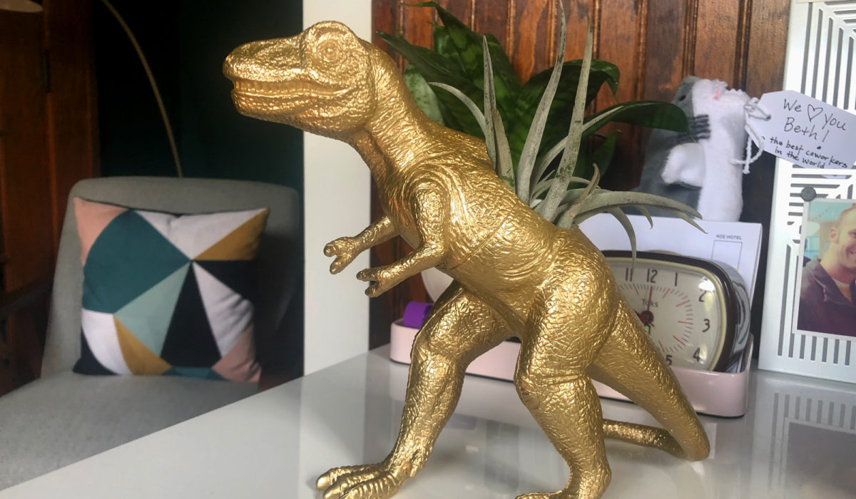T-Rex Air Plant Holder With Plant