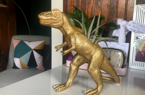 T-Rex Air Plant Holder With Plant